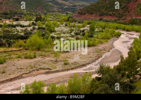 La rivière de l'Ourika en crue après de fortes pluies montrant que la quantité de matériel est de l'érosion des montagnes, le Haut Atlas Maroc Banque D'Images