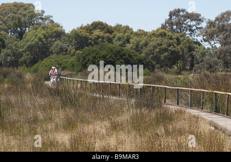 Chemin de Bois, rivière et Patrimoine Sentier à travers le marais commun Vente Gippsland, Victoria, Australie Banque D'Images