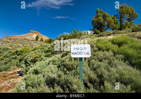 TENERIFE TEIDE naturel sauvage et spectaculaire signe paysage ensoleillé dans le Parc National du Teide Tenerife Espagne Banque D'Images