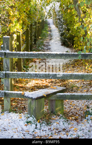 Scène d'automne de stile et sentier dans les collines de Chiltern, Angleterre. Banque D'Images