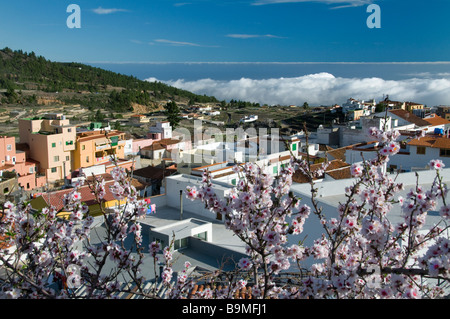 Vilaflor mountain village fleuri situé au-dessus des nuages sur les pentes de la montagne près de Parc National de Teide Tenerife Espagne Banque D'Images