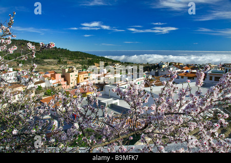 Vilaflor mountain village fleuri situé au-dessus des nuages sur les pentes de la montagne près de Parc National de Teide Tenerife Espagne Banque D'Images