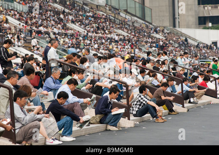 Les courses de chevaux des spectateurs à l'hippodrome de Shatin Hong Kong. Banque D'Images