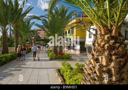 Piétonne ensoleillée bordée de palmiers allée côtière de Los Cristianos Tenerife Espagne Banque D'Images