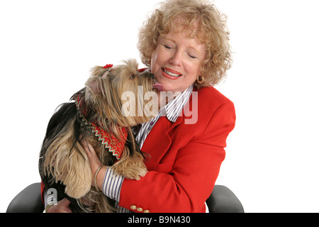 Un mignon petit chien yorkshire donnant son propriétaire un isolé kiss Banque D'Images