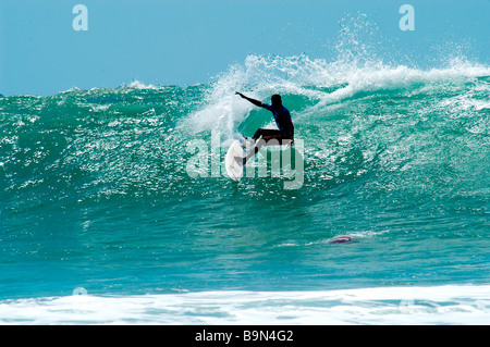 Surfer la vague des mâles dans l'Océan Indien Banque D'Images