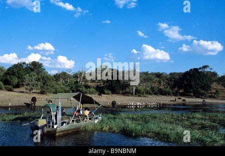 Le Botswana, district Nord-Ouest, le Parc National de Chobe, rivière Chobe Banque D'Images