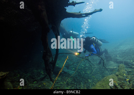 Sous-marin Plongeur Prata river Bonito Mato Grosso do Sul, Brésil Banque D'Images