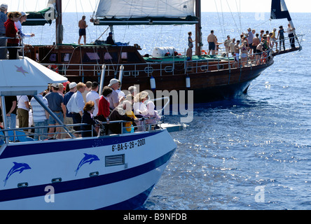 L'exciment parmi les touristes sur les bateaux de recherche dolphin, Puerto Rico, Gran Canaria, Îles Canaries, Espagne, Europe. Banque D'Images