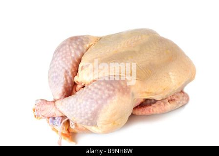 Ensemble le poulet cru isolated on white Banque D'Images