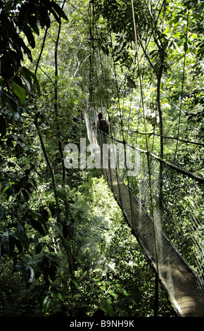 Pont suspendu à l'Ecoparque de una Forêt Tropicale Atlantique Mata Atlântica Bahia Brésil Amérique du Sud Banque D'Images