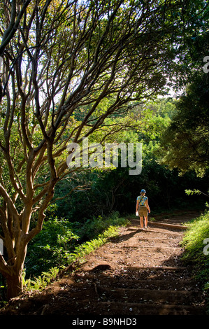 Le sentier de randonnées randonneur, Pali Kalaupapa National Historical Park, la péninsule de Kalaupapa, Molokai, Hawaï. Banque D'Images