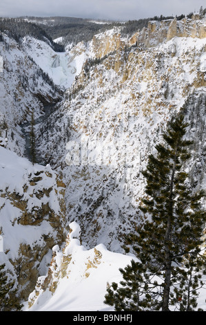 Grand canyon spectaculaire du Yellowstone en hiver avec la frozen Lower Falls Parc national de Yellowstone au Wyoming USA Banque D'Images