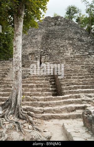 Mexique Yucatan 2009 Coba Mayan Ruins historique la pyramide complexe connu sous le nom de l'Église Banque D'Images