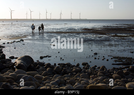 Silhouette d'éoliennes à l'horizon, les gens marcher dans les eaux peu profondes des zones humides Gaomei pendant le coucher du soleil, Qingshui District, Taichung, Taiwan Banque D'Images