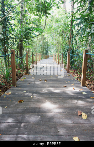 Pathway à Singapour Botanic Gardens Banque D'Images