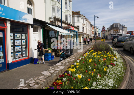 Fleur de printemps lit dans le sud du Devon Teignmouth GO UK Banque D'Images