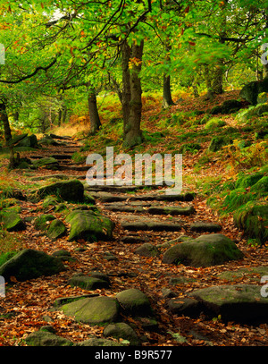 Sur la gorge Padley immobiliers Longshaw Derbyshire Peak District Banque D'Images