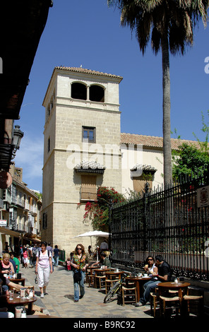 Musée Picasso de Malaga Espagne Palacio de Buenavista Banque D'Images
