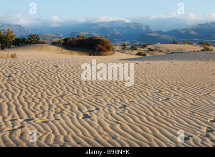 Les dunes de Maspalomas avec les montagnes de Gran Canaria dans la distance Banque D'Images