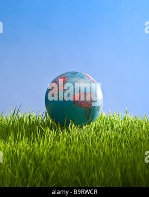 Globe en herbe avec sky Banque D'Images