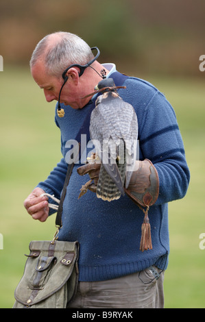 Handler et oiseau de proie Centre International pour les oiseaux de proie Gloustershire Newent Banque D'Images