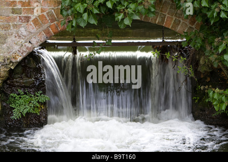 Weir sous un arc dans un mur de briques recouvert de lierre sur la rivière Darent Darenth (ou) Shoreham Kent UK Banque D'Images