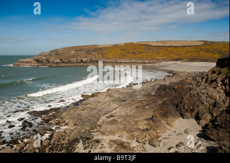 Aber Bach Pembrokeshire Coast National Park Beach West Wales printemps UK Banque D'Images