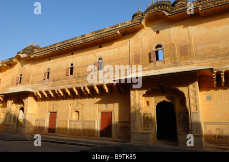 Tigre Nahargarh fort près de Jaipur dans le Rajasthan en Inde Banque D'Images