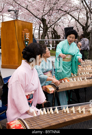 La société Koto Toho de Washington se prépare à la présentation de musique Sakura - Washington, DC USA Banque D'Images