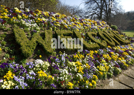 Un signe bienvenu énoncés dans les plantes sur une banque de pensées sur l'approche de Brighton, Sussex. Banque D'Images