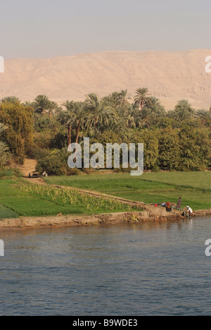 Egypte Nil Un système d'irrigation pompe l'eau du Nil à la terre ferme Banque D'Images