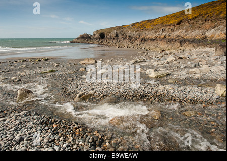 Aber Bach Pembrokeshire Coast National Park Beach South West Wales UK printemps Banque D'Images