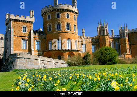 Château de Belvoir paysage Printemps Fleurs jonquille du comté de Leicestershire Angleterre UK Banque D'Images