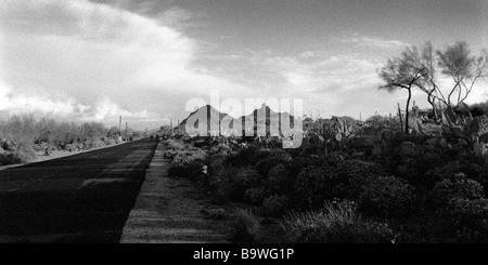 Scènes du désert noir et blanc avec saguaro cactus, le désert et les routes de montagnes escarpées Banque D'Images