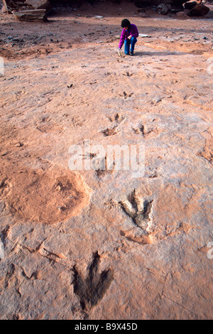 Traces de dinosaures fossiles exposés dans le désert peint près de Cameron à la réserve indienne de Navajo en Arizona Banque D'Images