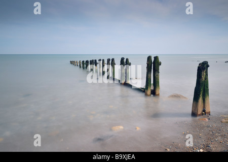 Épis érodés sur la plage de Sandsend près de Whitby, dans le Yorkshire, Royaume-Uni, Europe Banque D'Images