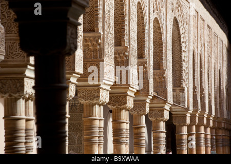 Patio de los Leones dans le Palais de l'Alhambra à Grenade Espagne Banque D'Images