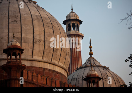 Dômes de la mosquée Jama Masjid ou vendredi dans Old Delhi Inde Banque D'Images
