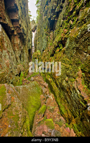 Gros rocher coincé au-dessus d'un gouffre profond le long de l'Agawa Rock Pictogrammes Sentier près des rives du lac Supérieur, lac Supérieur. Banque D'Images