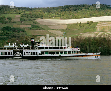 'Goethe' dernière à aubes sur le Rhin au cours de la dernière année de service dans le cadre de la vapeur, vallée du Rhin moyen, près de Lorch, Allemagne. Banque D'Images