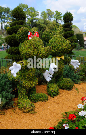 Topiaires de Mickey et Minnie Mouse à Walt Disney le Parc à Thème Magic Kingdom Central d'Orlando en Floride Banque D'Images