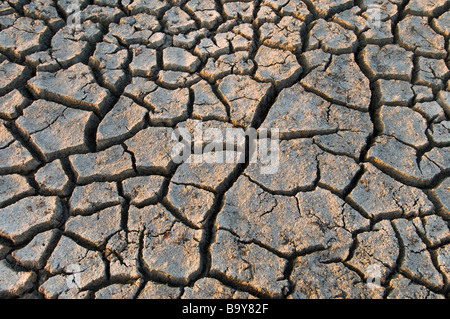 Cracked earth durant la saison sèche prolongée remplace étang, le Parc National des Everglades, en Floride Banque D'Images