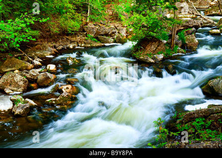 L'eau se précipiter au milieu des rochers en rivière rapide en Ontario Canada Banque D'Images