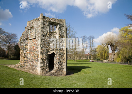 Partie de la 'jardins de l'Abbaye' dans 'ruines' de Bury St Edmunds, Suffolk, Angleterre, Royaume-Uni. Banque D'Images