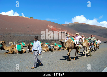 Promenades en chameau, le Parc National de Timanfaya, Lanzarote, îles Canaries, Espagne Banque D'Images