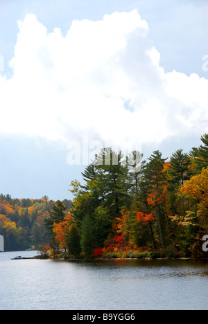 Lac et forêt à l'automne dans le nord de l'Ontario Banque D'Images