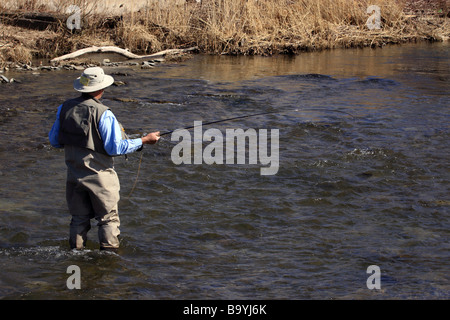 L'homme pêche en ruisseau Sixteen Mile pour la truite arc-en-ciel dans la région de North East, Maryland. Banque D'Images