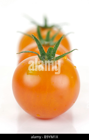Tomates cerise Truss isolé sur fond blanc Banque D'Images