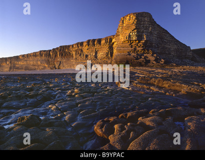 Les falaises de calcaire fin un soir d'été à Nash Point sur la côte du Glamorgan Wales Banque D'Images